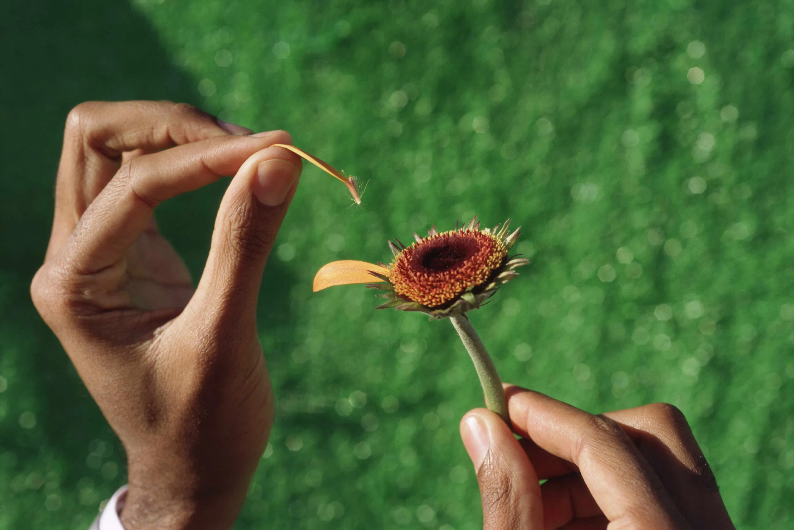 Reclaiming Your Body After Birth