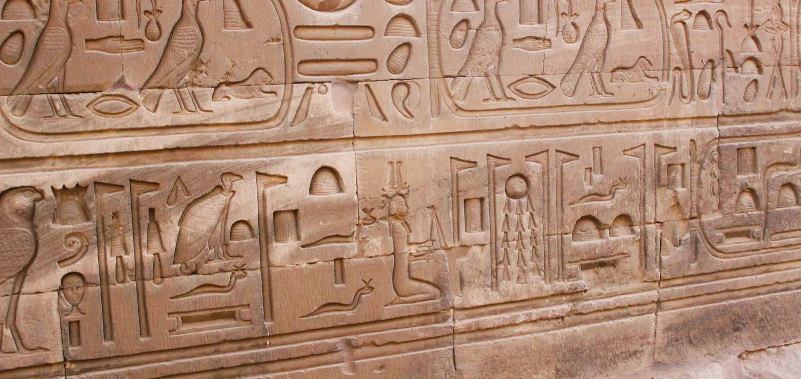 Women's Health & Gynecology